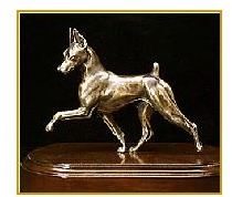 Miniature Pinscher Dog - Bronze Small Moving