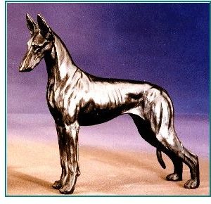 Pharaoh Hound - Small Standing Dog