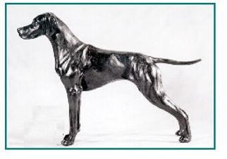 Pointer - Small Standing Dog