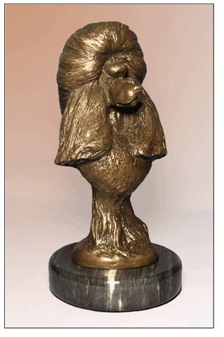 Poodle Standard - Foundry Bronze Bust