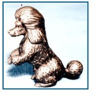 Poodle- Kennel - Mini Begging