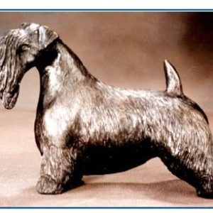 Sealyham Terrier - Large Standing Dog
