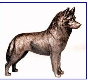 Siberian Husky - Large Standing Dog