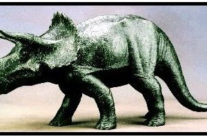 Limited Edition - Triceratops