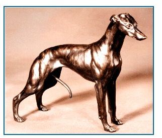 Whippet - Large Standing