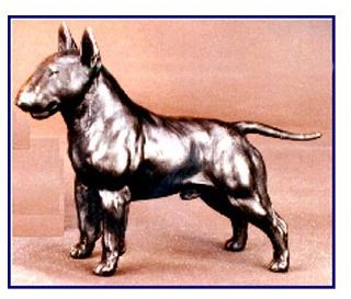 Bull Terrier - Small Standing dog