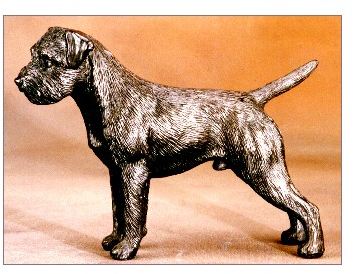 Border Terrier - Medium Standing Dog