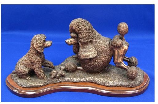 Poodle Standard - Play Time