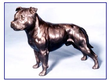 Large staffordshire bull outlet terrier