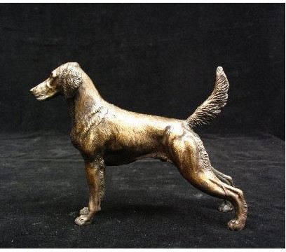 Weimaraner - Long Hair Dog