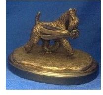 Kerry Blue Terrier Dog - The Winner