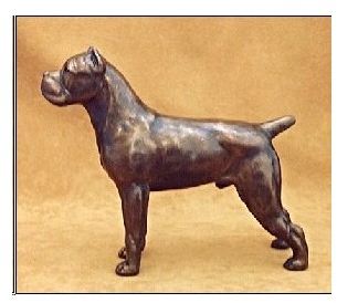 Cane Corso - Small Standing Dog