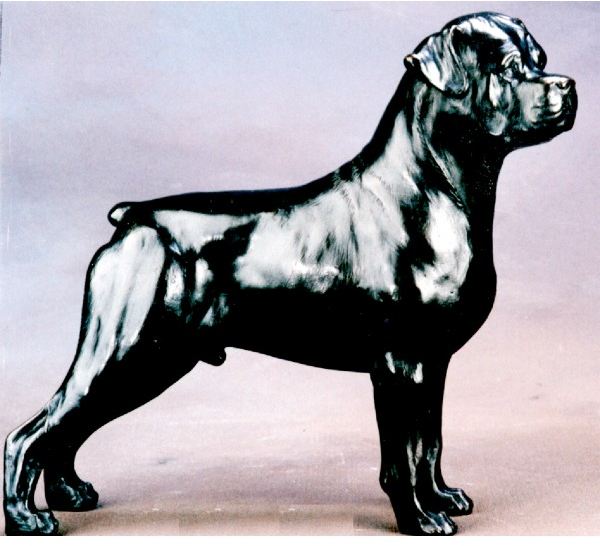 Rottweiler - X-Large Standing Dog