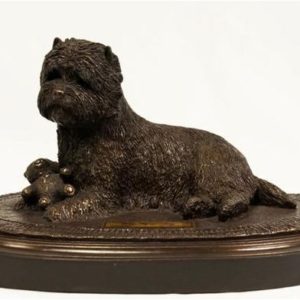 Cairn Terrier - My New Toy