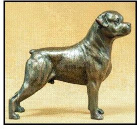 Rottweiler - Medium Large Standing Dog