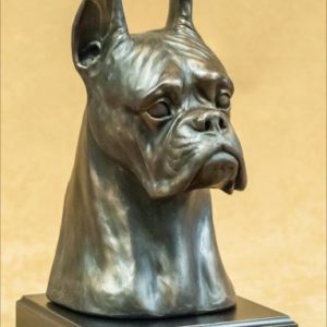 Boxer - Large Bust