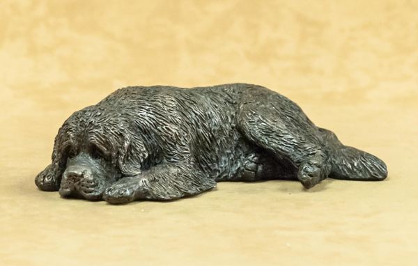Newfoundland - Sleeping Dog