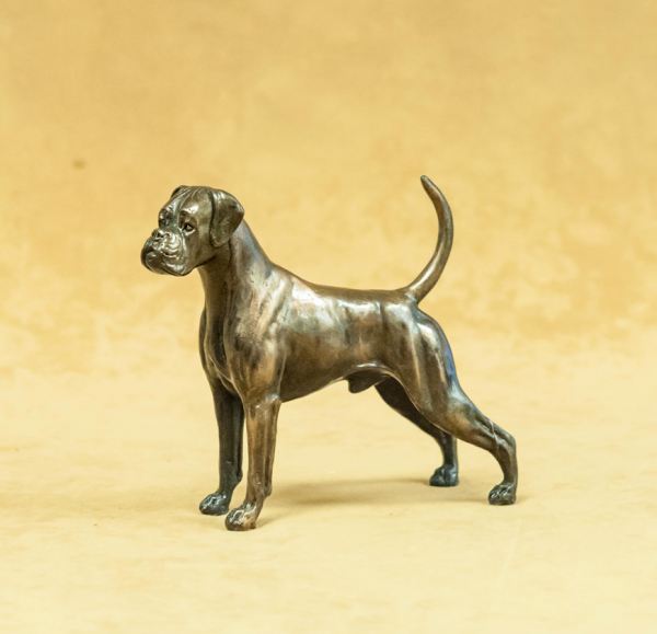 Boxer - Small Standing with Natural Ears and Tail