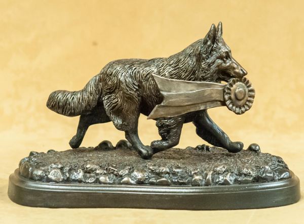 Belgian Sheepdog Tervuren - The Winner