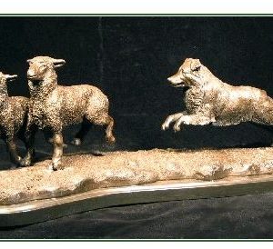 Australian Shepherd - Herding II