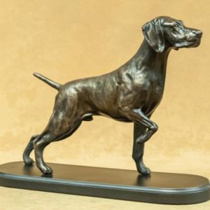 German Shorthair Pointer - Large Standing on Point