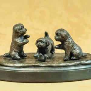 Bichon- Three puppies playing