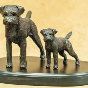 Border Terrier - Adult and Pup