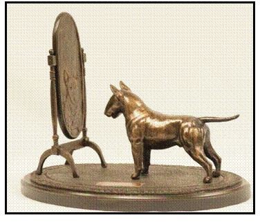 Bull Terrier - Mirror Mirror