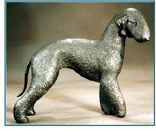 Bedlington Terrier -Large Standing Dog