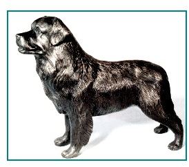 Bernese Mtn. Dog - Large Standing Dog