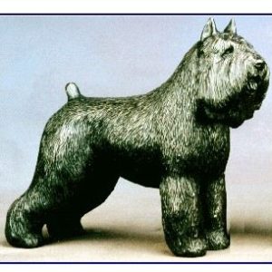 Bouvier Des Flandres - Large Standing Dog