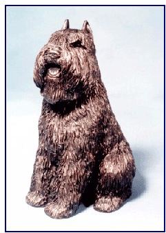 Bouvier Des Flandres - Large Dog Sitting