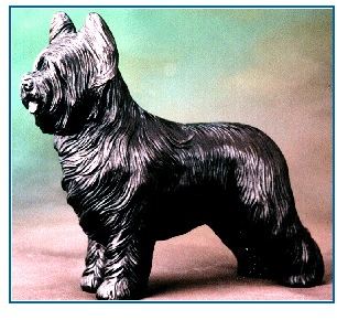 Briard - Large Standing Dog