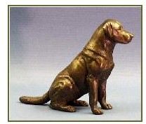 Labrador Dog - Small Sitting Dog