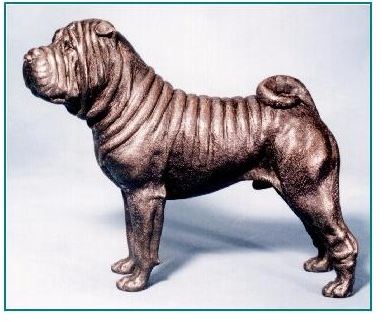 Chinese Shar Pei -Large Standing Male