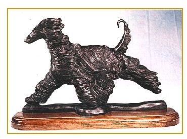 Afghan Hound - Large Moving Dog