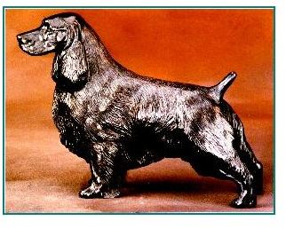 English Springer Spaniel - Large Standing Dog
