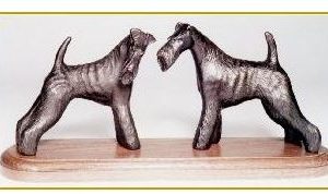 Fox Terrier Wire - Sparring Pair