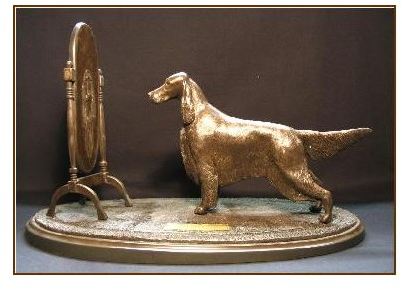 Gordon Setter Dog - A Splendid Image