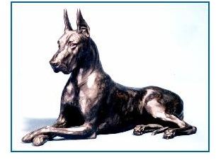 Great Dane Dog - Large Lying Female