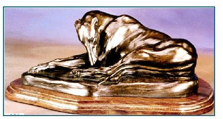 Greyhound Dog - Curled Sleeping