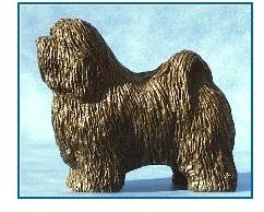 Havanese Dog - Small Standing