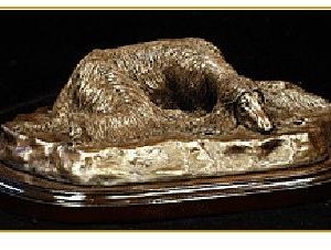 Afghan Hound - Large Sleeping Dog