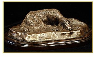 Afghan Hound - Large Sleeping Dog