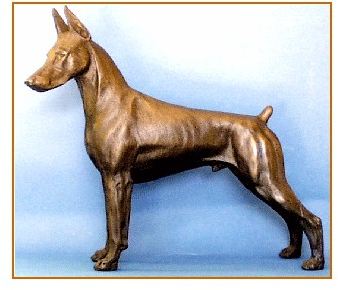 Doberman -Large Standing Dog