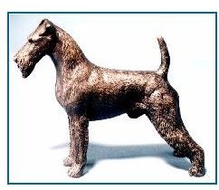 Irish Terrier Dog - Small Standing