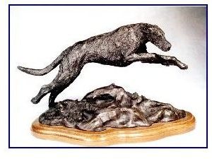 Irish Wolfhound Dog - Male Leaping
