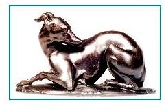 Italian Greyhound Dog - Antique Reproduction
