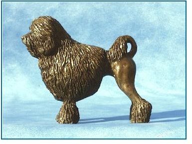 Lowchen Dog - Small Standing